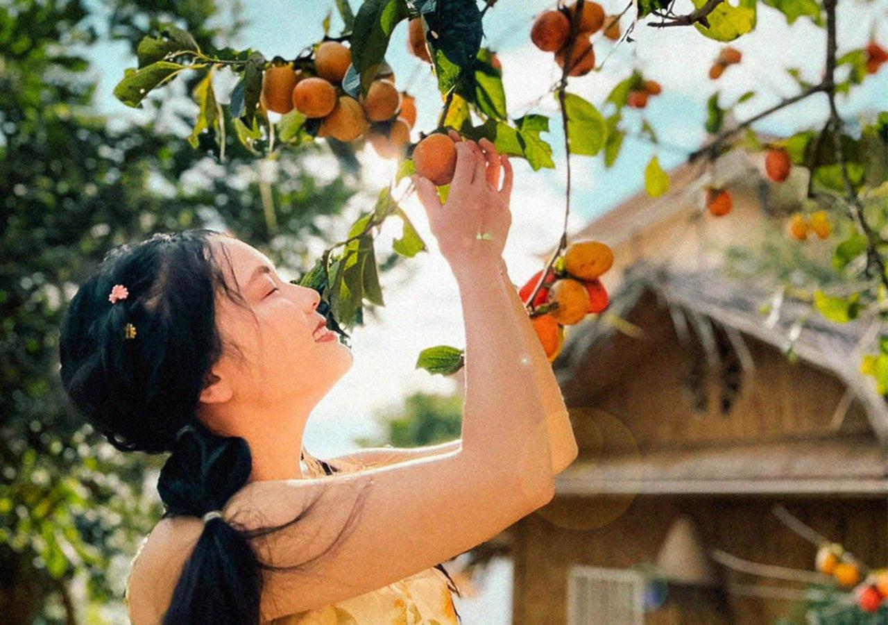 Nay Bungalow Dalat Ngoại thất bức ảnh