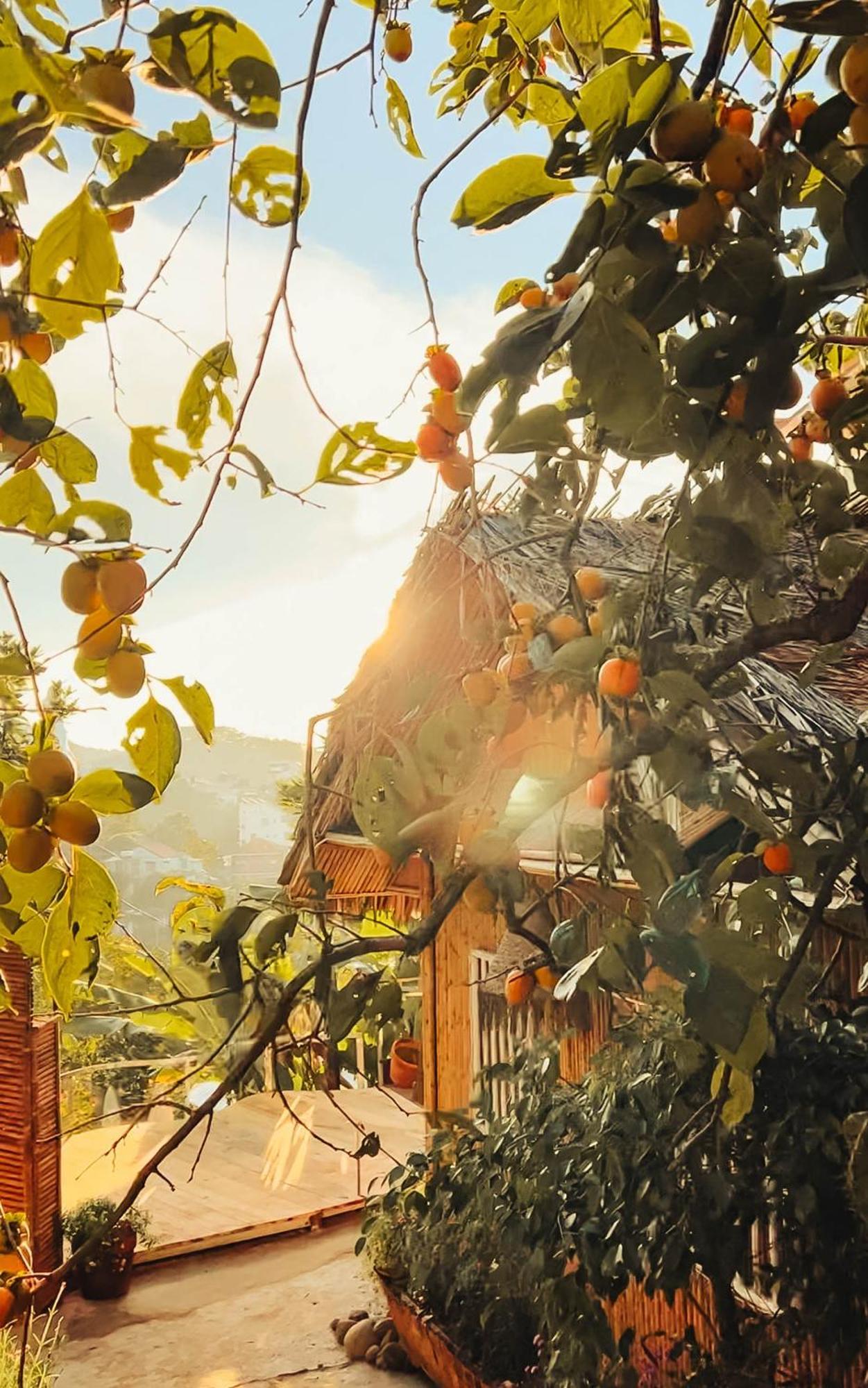Nay Bungalow Dalat Ngoại thất bức ảnh